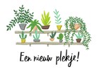 een nieuw plankje voor je planten